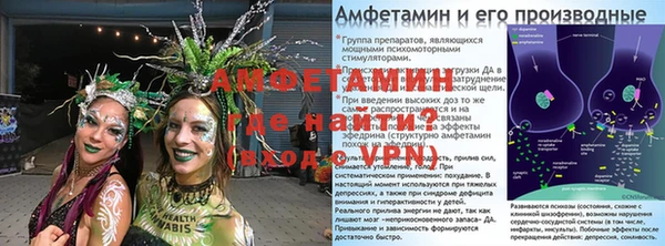 дмт Щигры