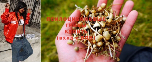 круглые Касимов